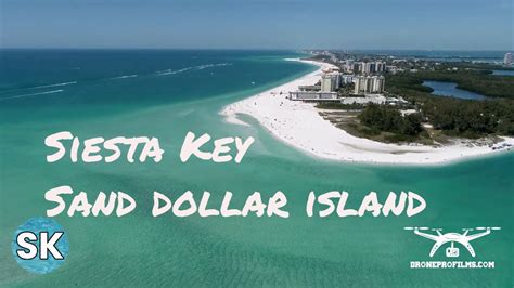 minorga on the key|sand dollar island siesta key.